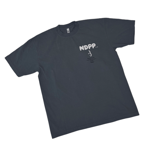 OG NDPP T-Shirt  (Grey)